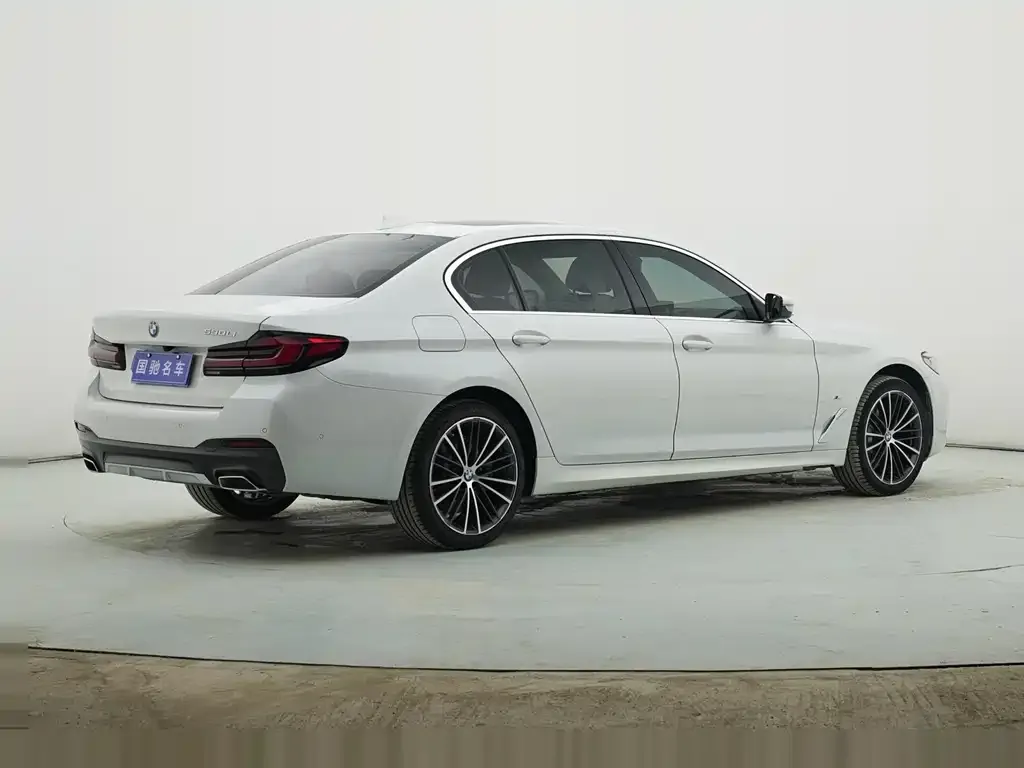 BMW 5 Series 2022 из CN, фото 6