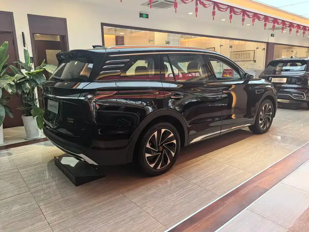 Hongqi HS7 PHEV 2024 из CN, фото 7
