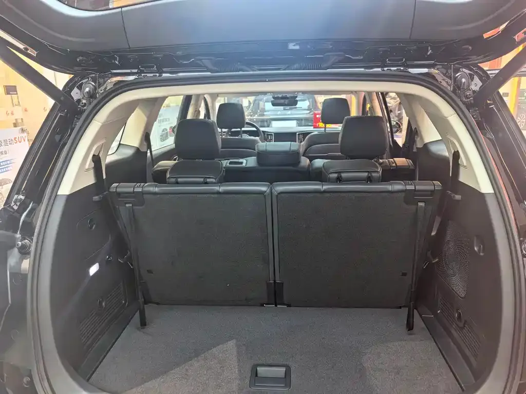 Hongqi HS7 PHEV 2024 из CN, фото 6