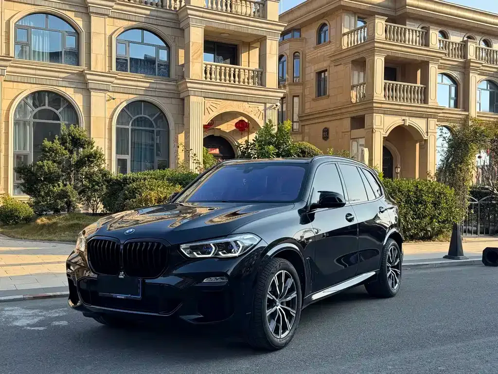 BMW X5 (Import) 2021 из CN, фото 1