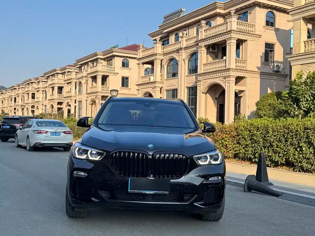 BMW X5 (Import) 2021 из CN, фото 9