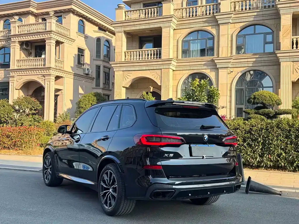 BMW X5 (Import) 2021 из CN, фото 10