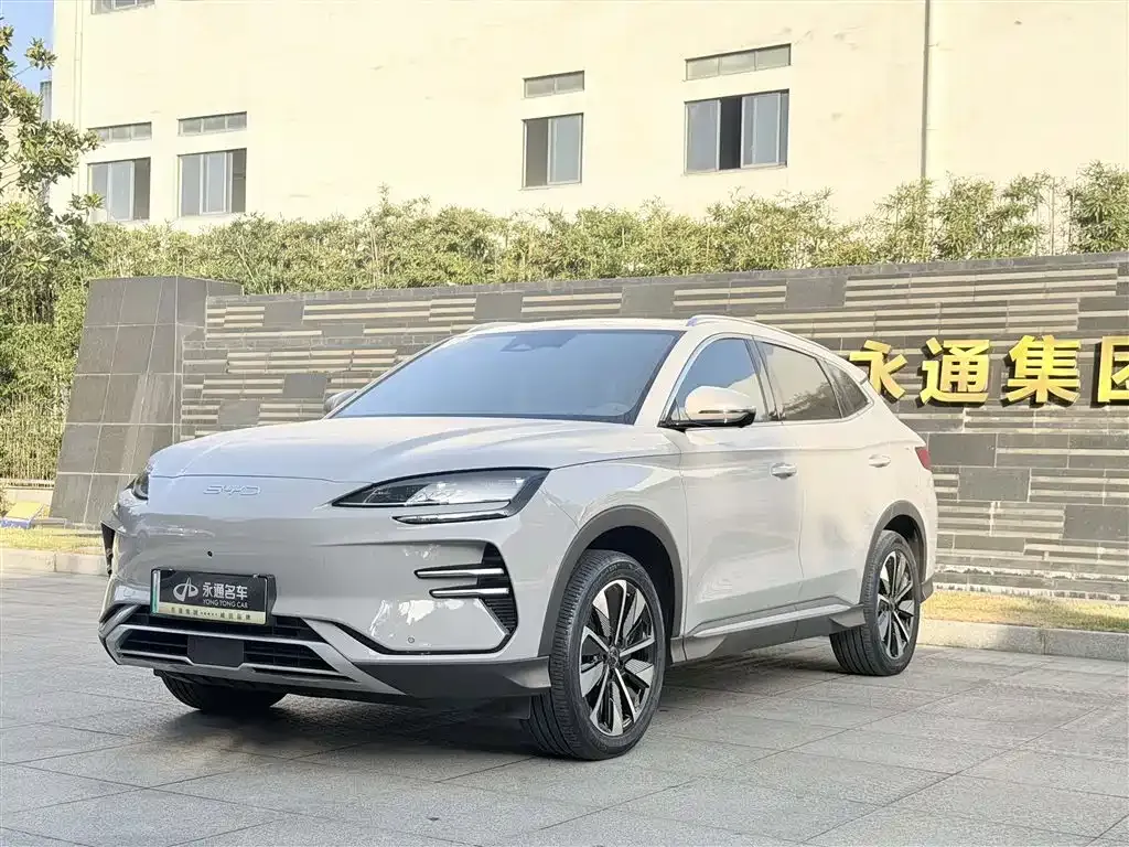 BYD PLUS New Energy 2024 из CN, фото 1
