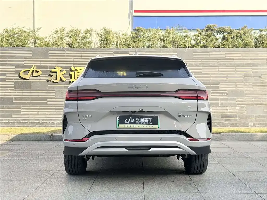 BYD PLUS New Energy 2024 из CN, фото 6