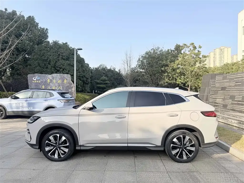 BYD PLUS New Energy 2024 из CN, фото 7