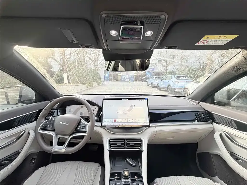 BYD PLUS New Energy 2024 из CN, фото 5