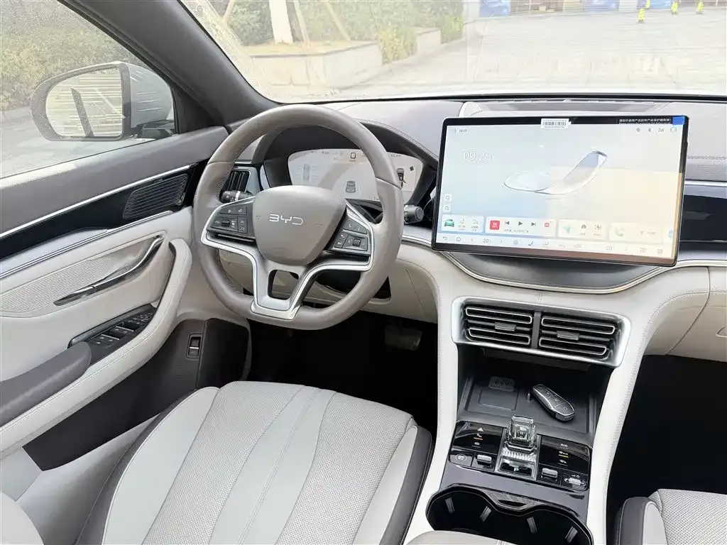 BYD PLUS New Energy 2024 из CN, фото 3