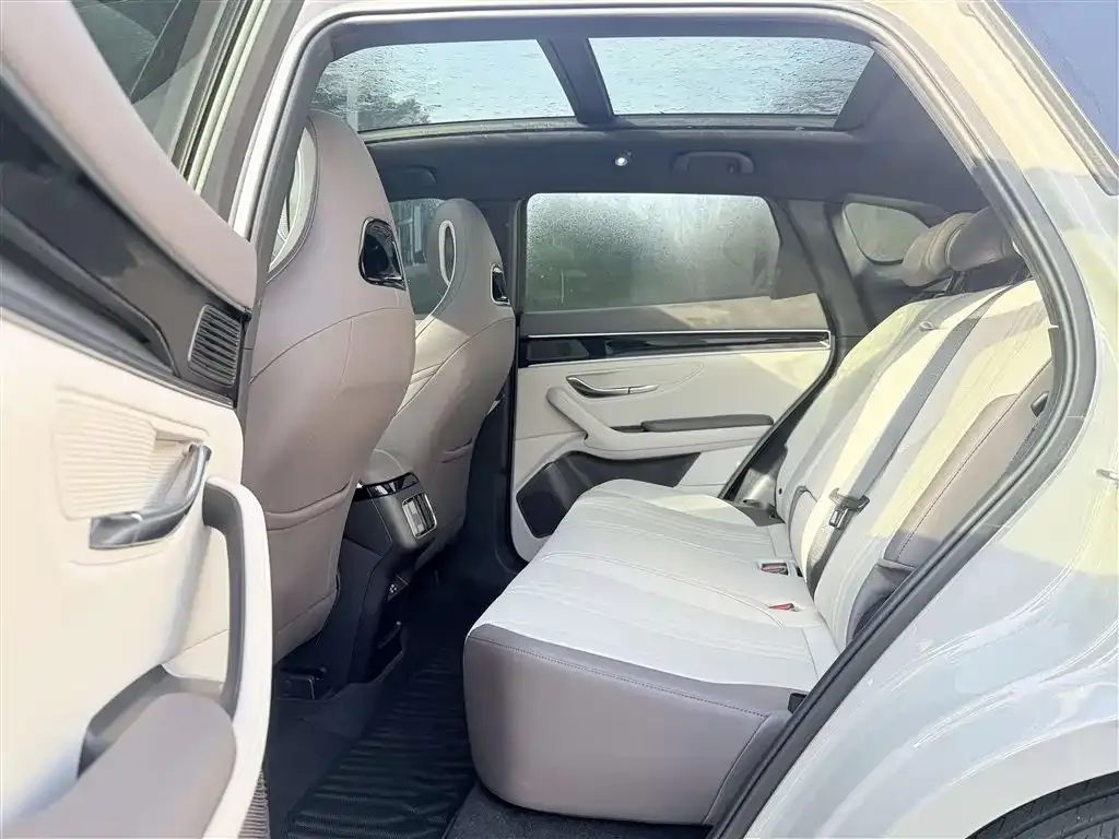 BYD PLUS New Energy 2024 из CN, фото 2