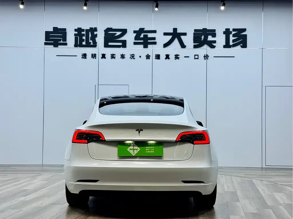 Tesla Model 3 2023 из CN, фото 5