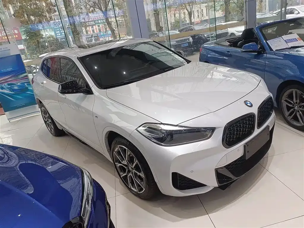 BMW X2 2023 из CN, фото 10