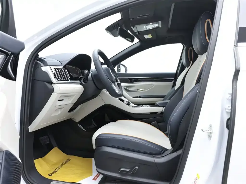 BYD PLUS New Energy 2023 из CN, фото 10