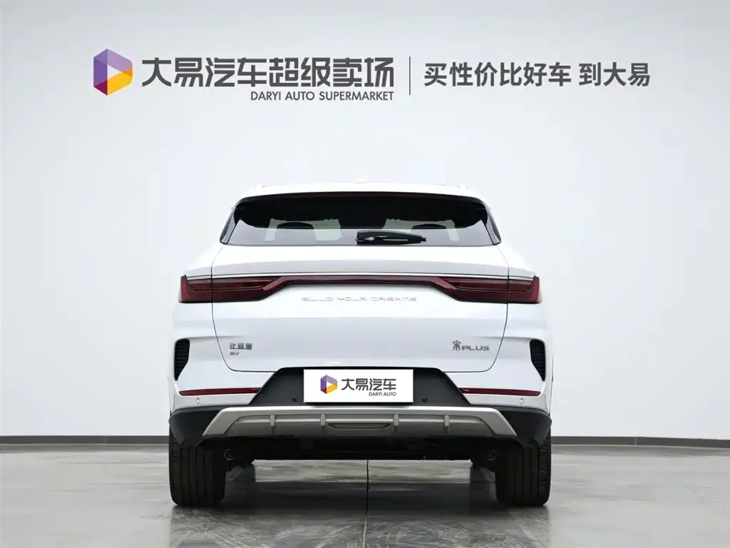BYD PLUS New Energy 2023 из CN, фото 3