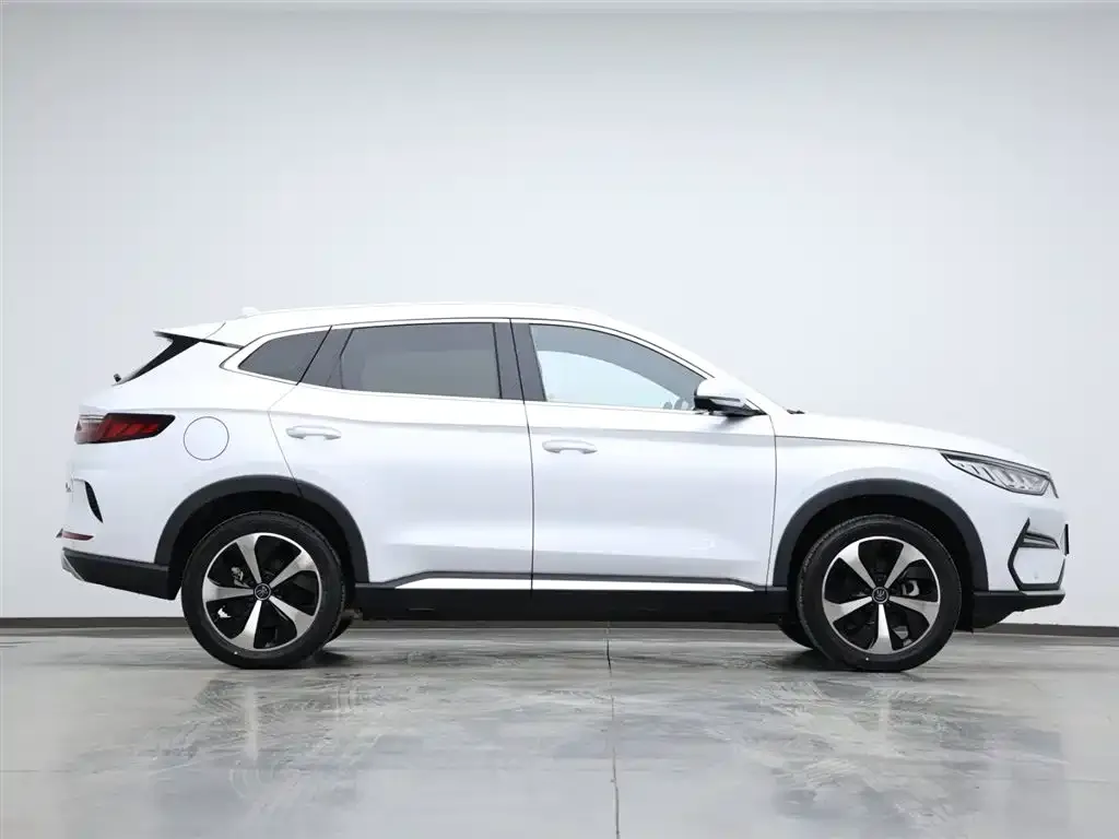 BYD PLUS New Energy 2023 из CN, фото 8