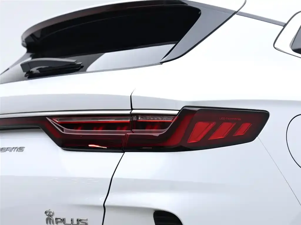 BYD PLUS New Energy 2023 из CN, фото 4
