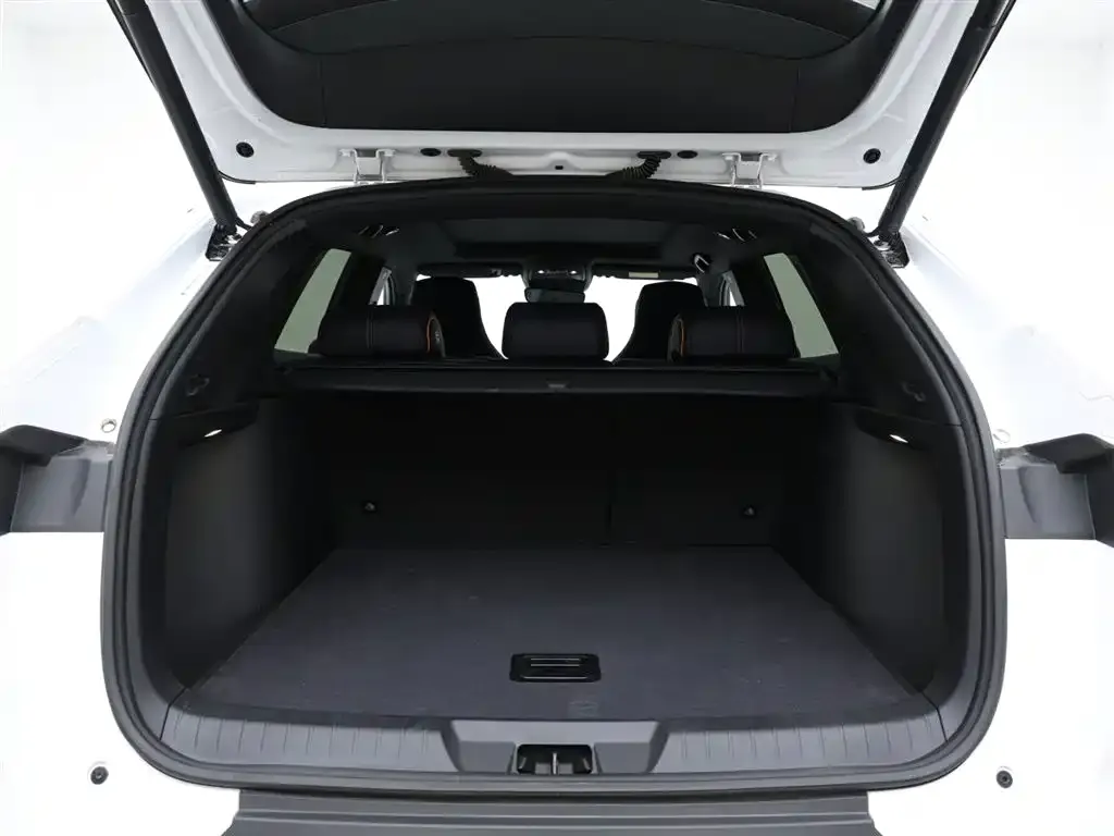 BYD PLUS New Energy 2023 из CN, фото 6