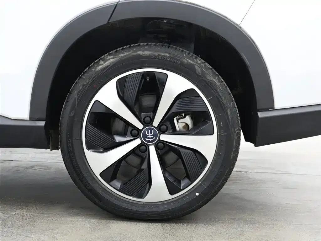 BYD PLUS New Energy 2023 из CN, фото 7
