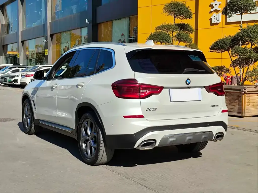 BMW X3 2021 из CN, фото 4