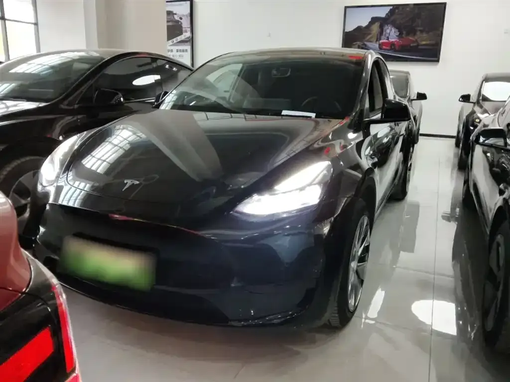 Tesla Model Y 2023 из CN, фото 2