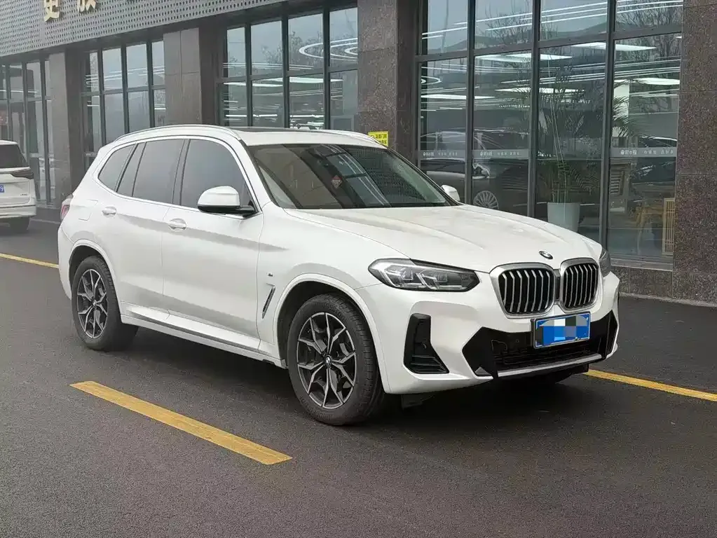 BMW X3 2024 из CN, фото 6