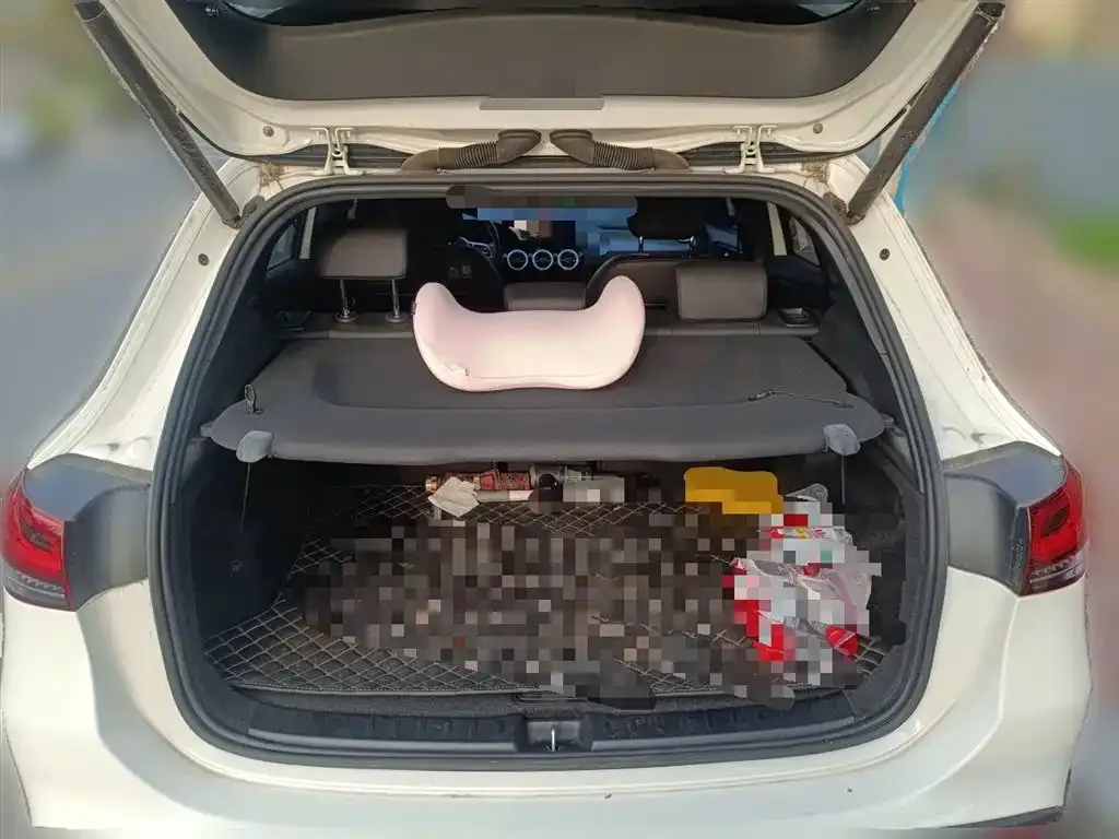Mercedes-Benz GLA 2021 из CN, фото 10