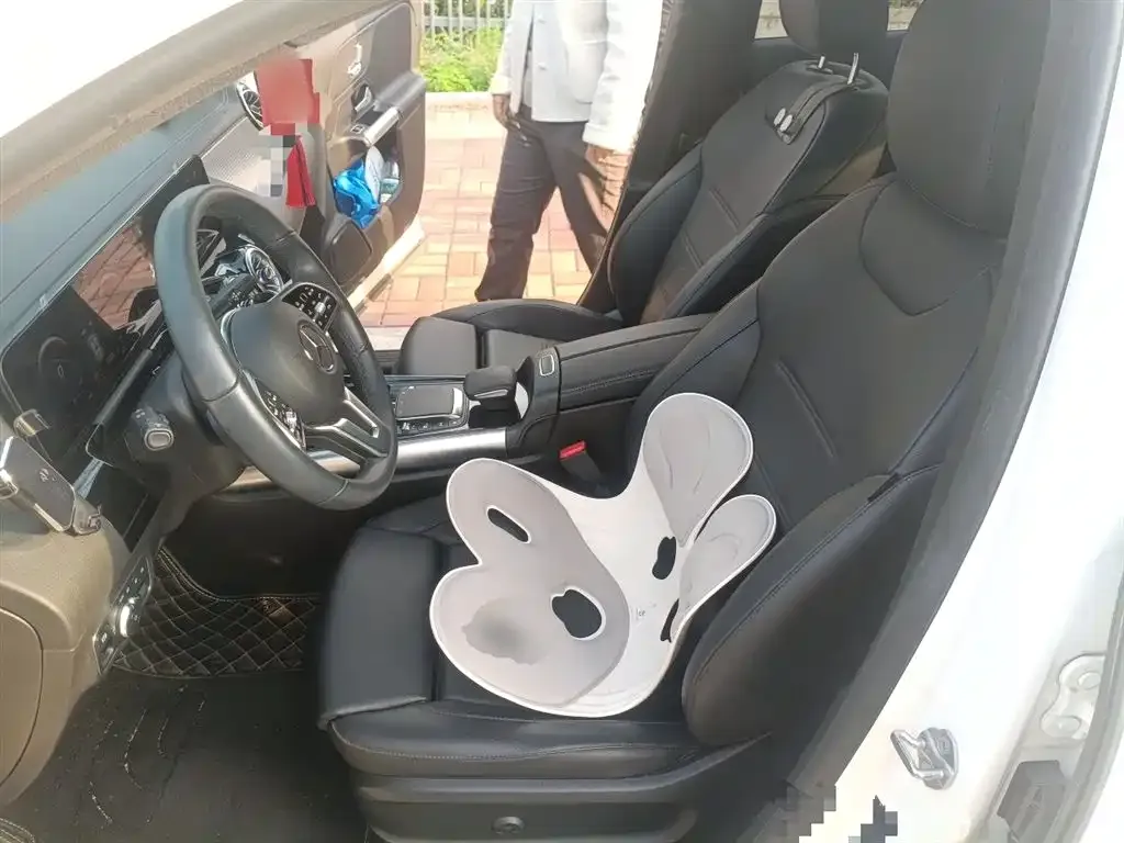 Mercedes-Benz GLA 2021 из CN, фото 8