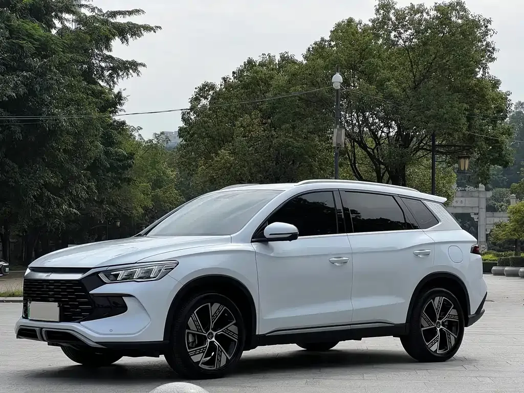 BYD Pro New Energy 2024 из CN, фото 1