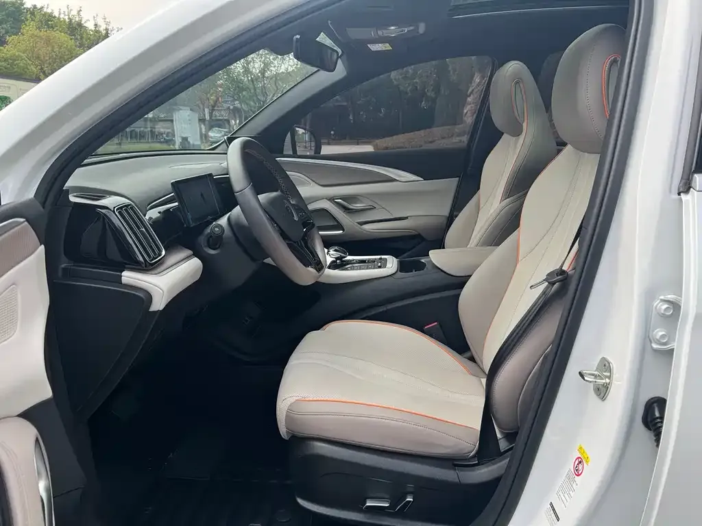 BYD Pro New Energy 2024 из CN, фото 9