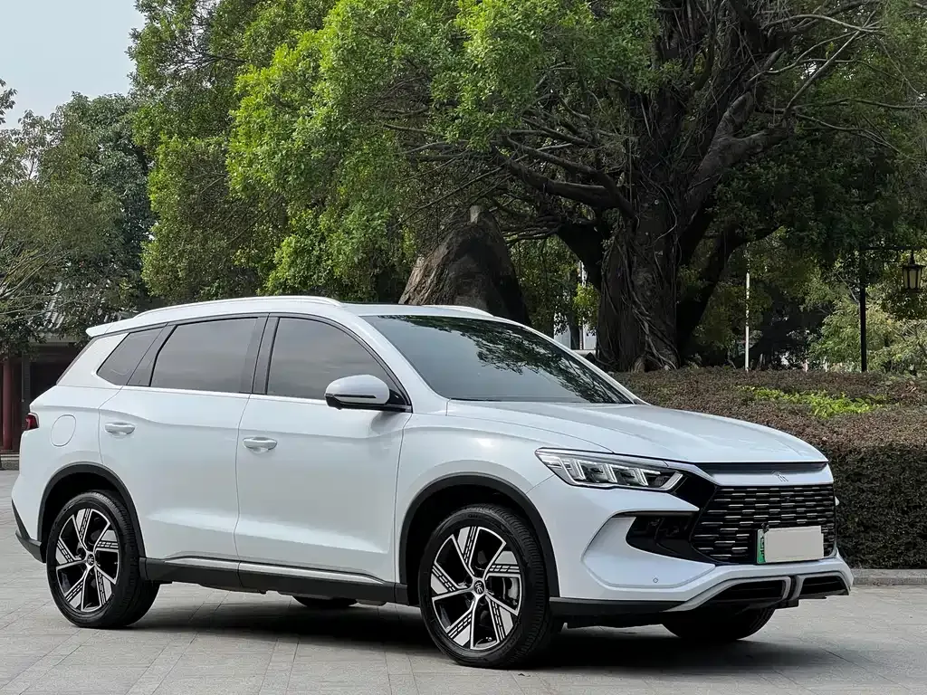 BYD Pro New Energy 2024 из CN, фото 10