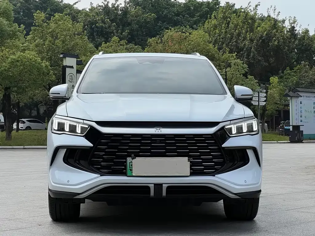 BYD Pro New Energy 2024 из CN, фото 6