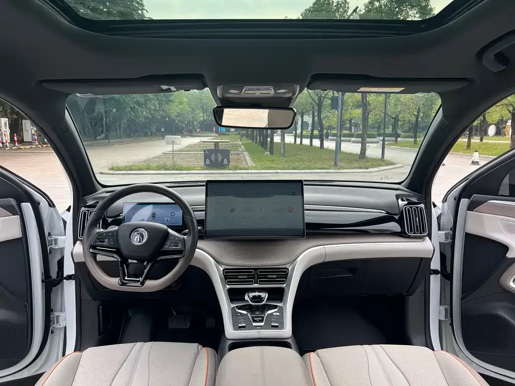 BYD Pro New Energy 2024 из CN, фото 2