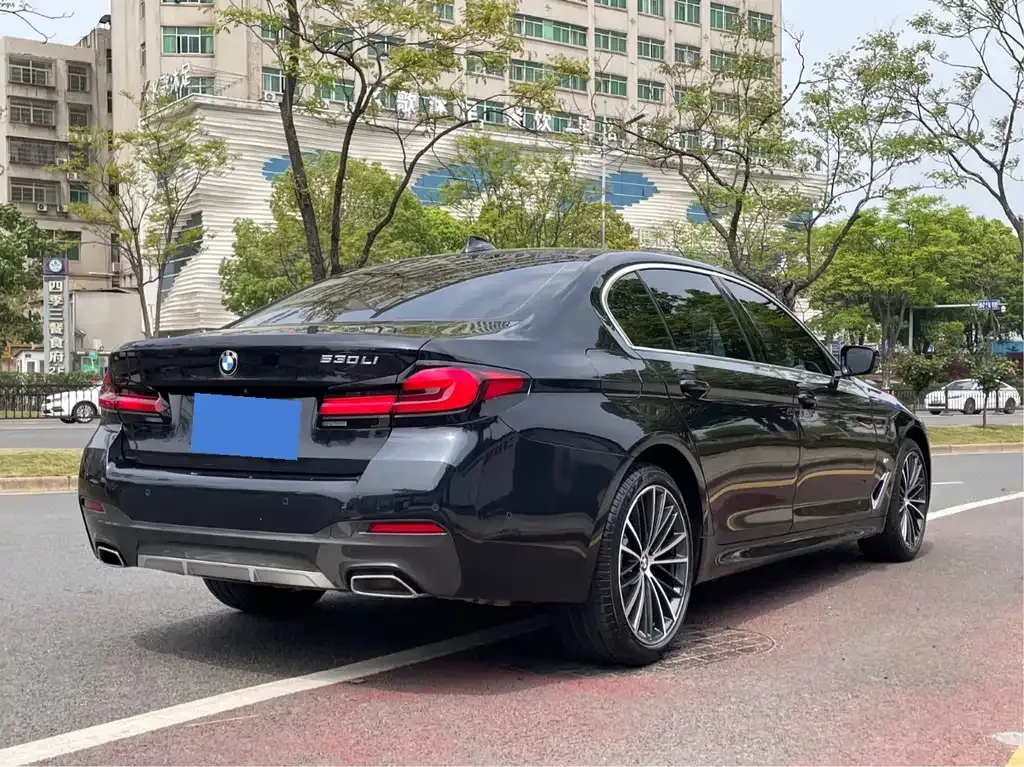 BMW 5 Series 2022 из CN, фото 8