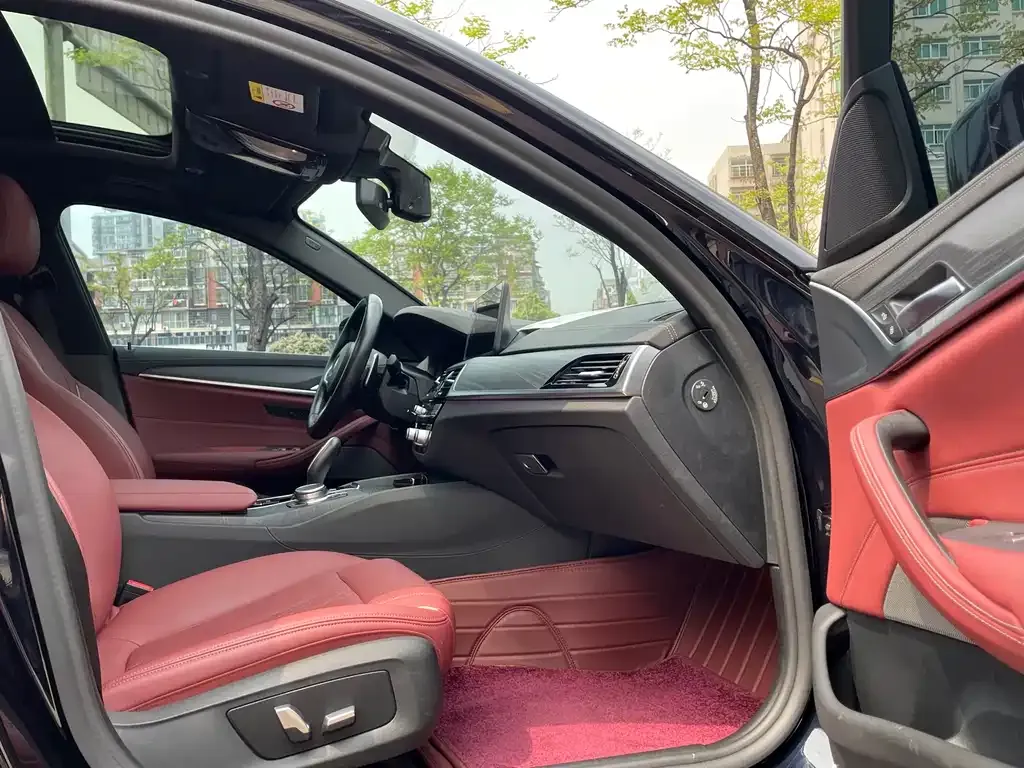 BMW 5 Series 2022 из CN, фото 10