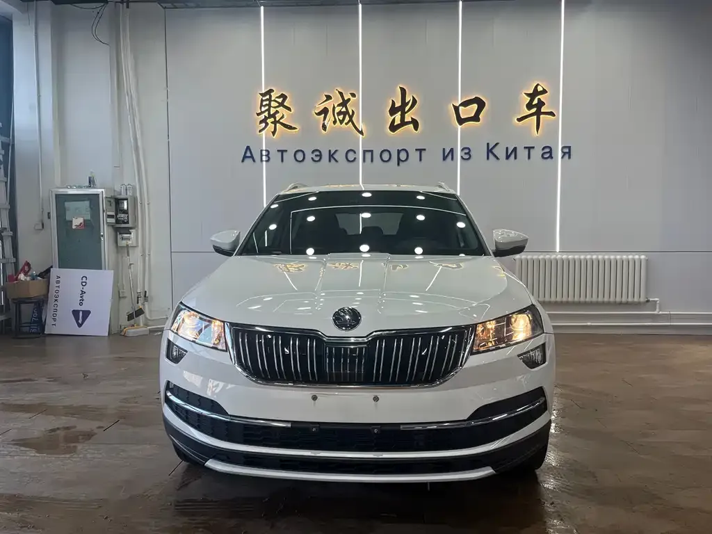 Skoda Karoq 2021 из CN, фото 4
