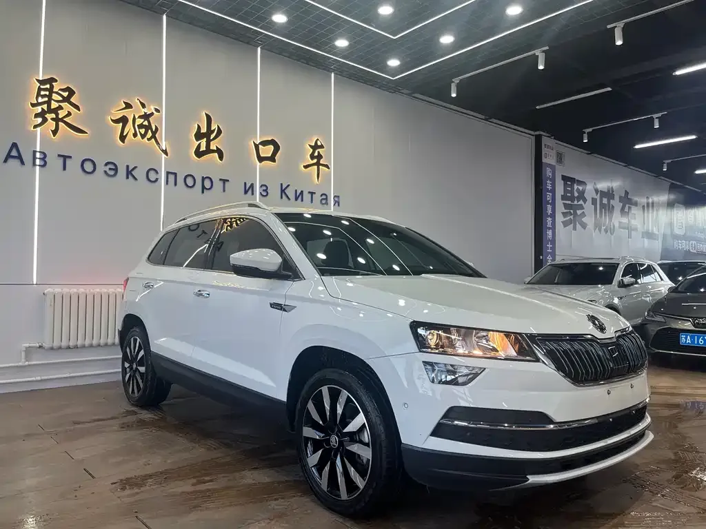 Skoda Karoq 2021 из CN, фото 6