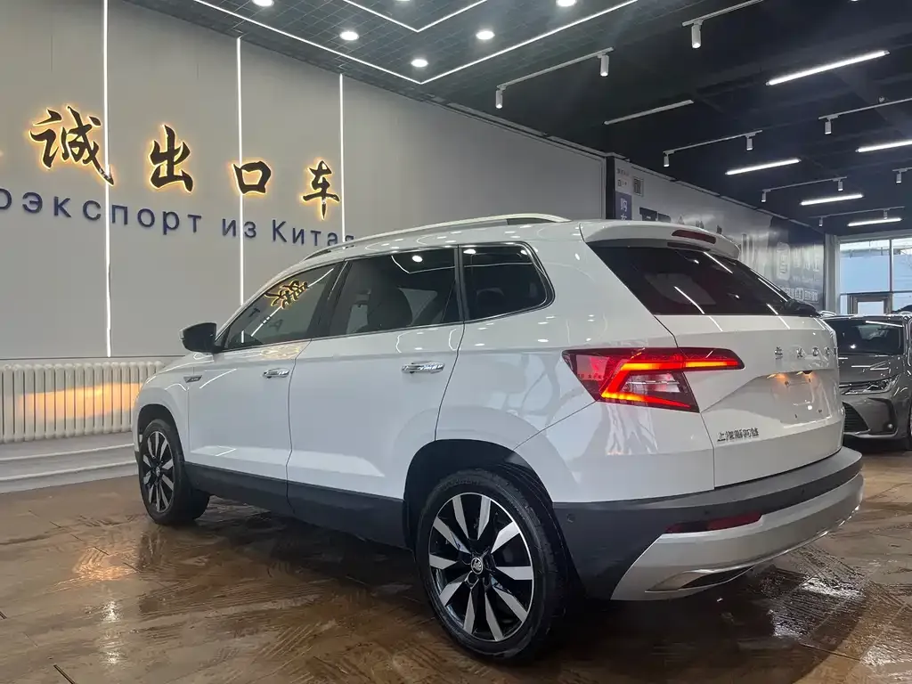 Skoda Karoq 2021 из CN, фото 5