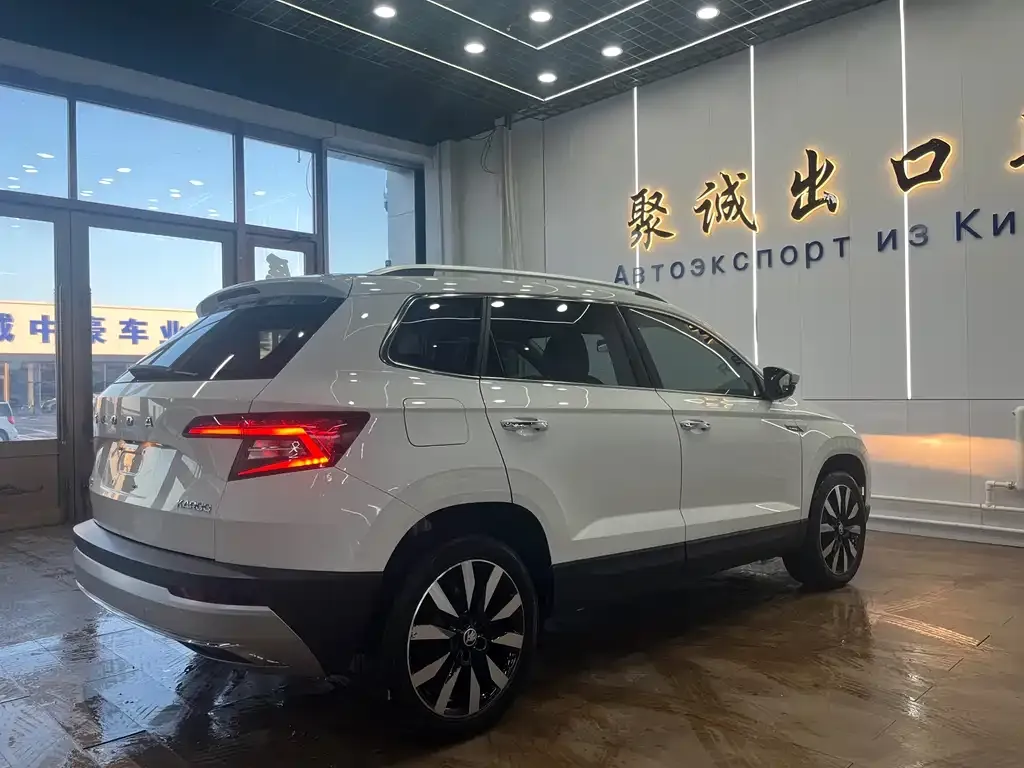 Skoda Karoq 2021 из CN, фото 9