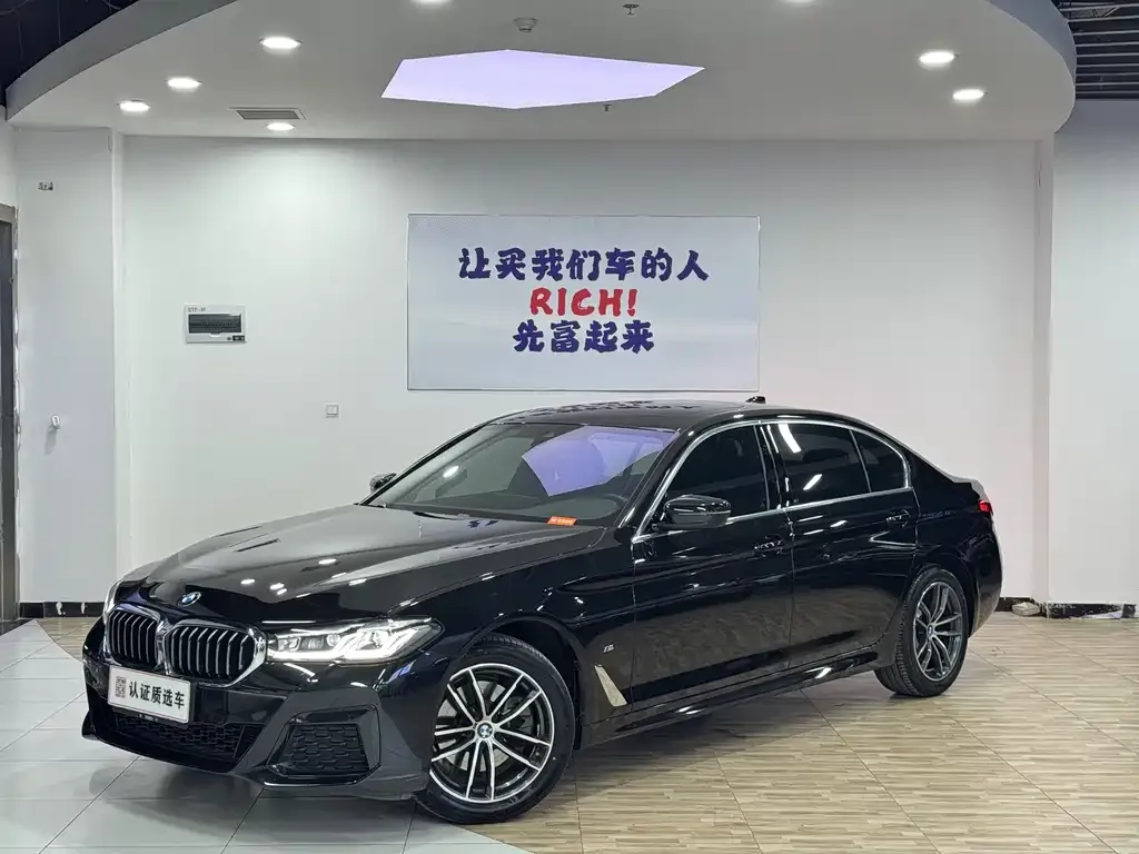 BMW 5 Series 2021 из CN, фото 5