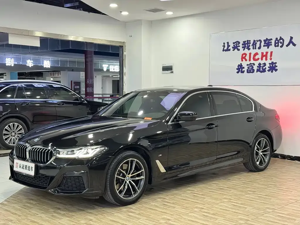 BMW 5 Series 2021 из CN, фото 4