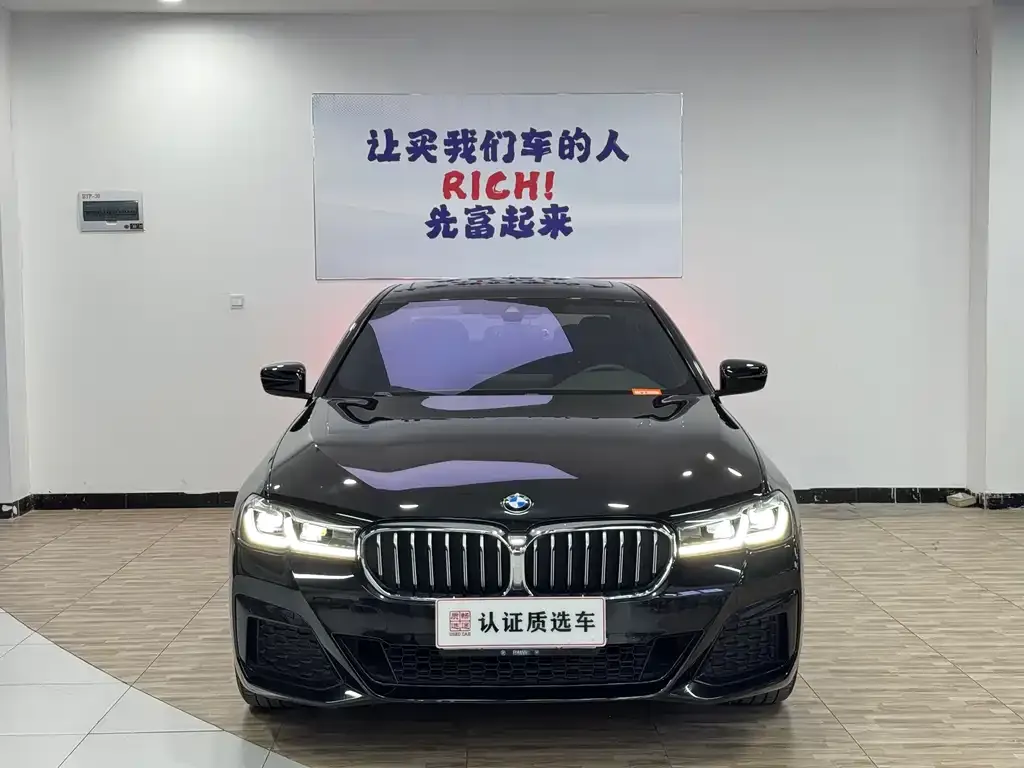 BMW 5 Series 2021 из CN, фото 10