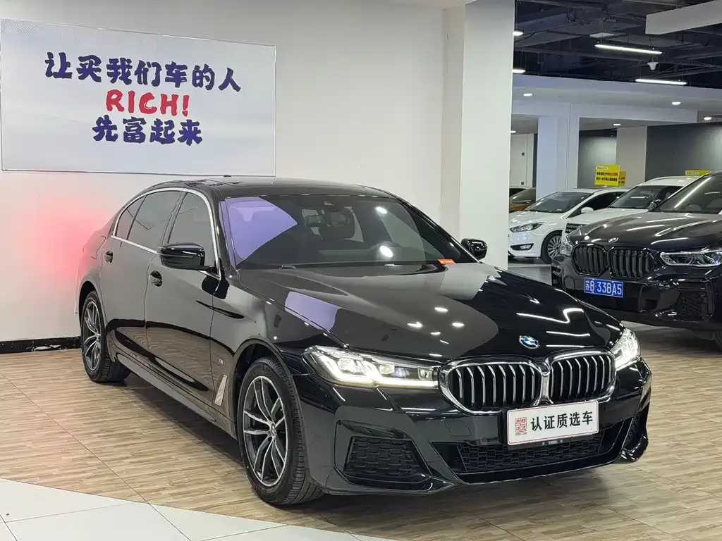 BMW 5 Series 2021 из CN, фото 9