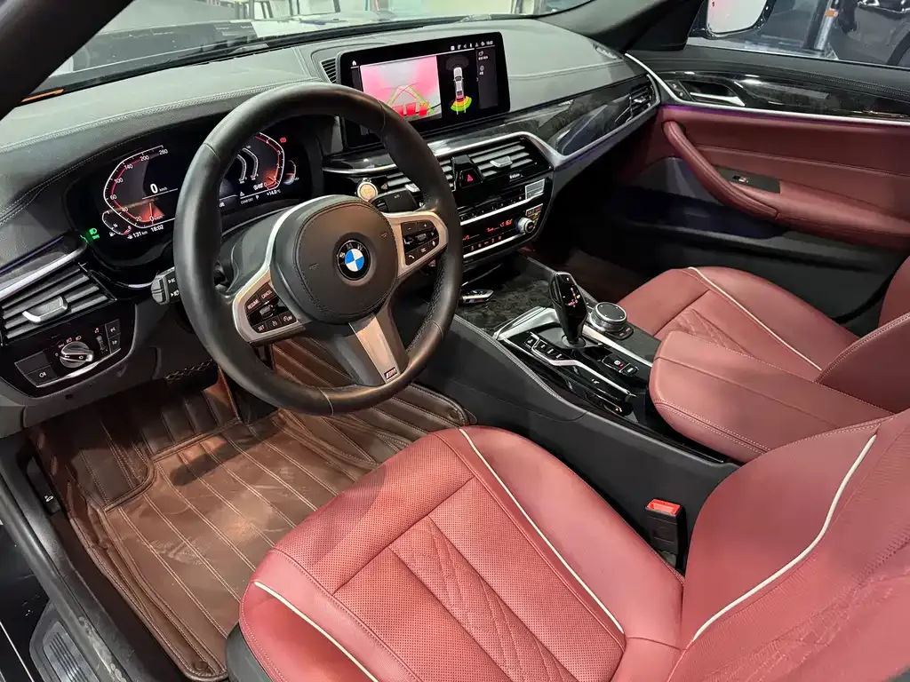 BMW 5 Series 2021 из CN, фото 8