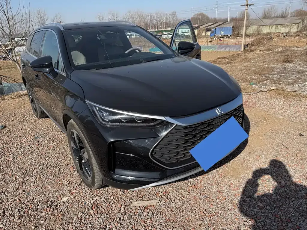 BYD Tang New Energy 2024 из CN, фото 1