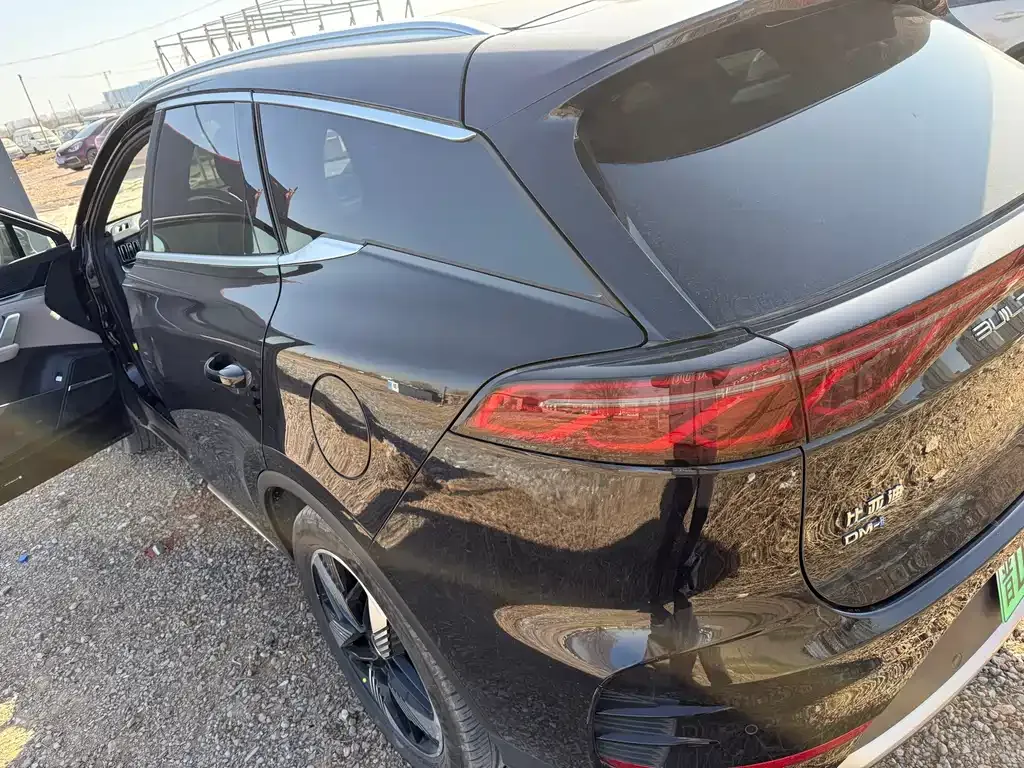BYD Tang New Energy 2024 из CN, фото 6