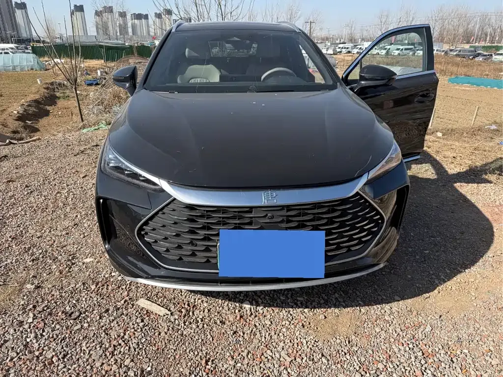 BYD Tang New Energy 2024 из CN, фото 9