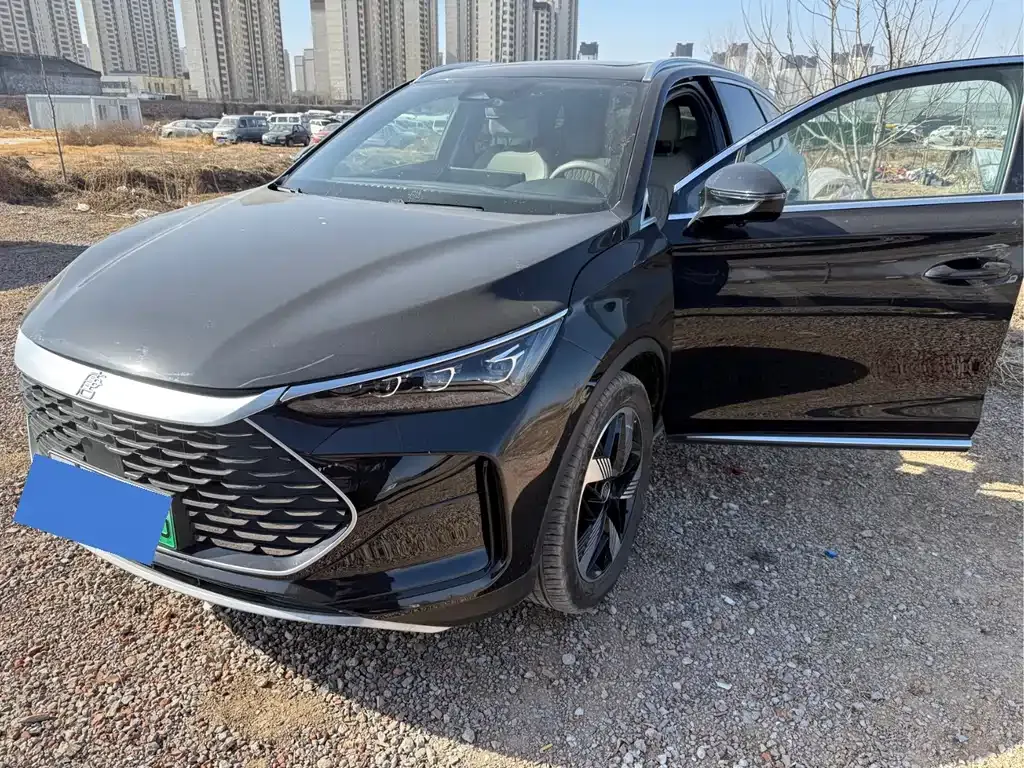 BYD Tang New Energy 2024 из CN, фото 5