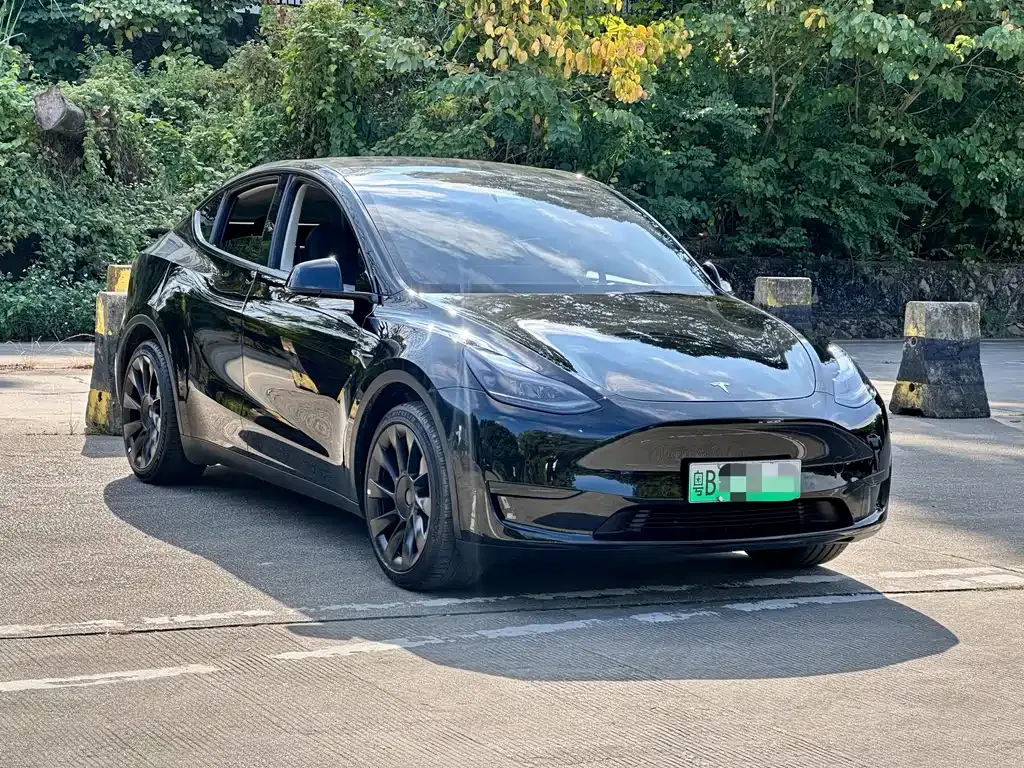 Tesla Model Y 2023 из CN, фото 9