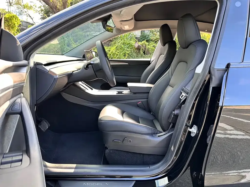 Tesla Model Y 2023 из CN, фото 8