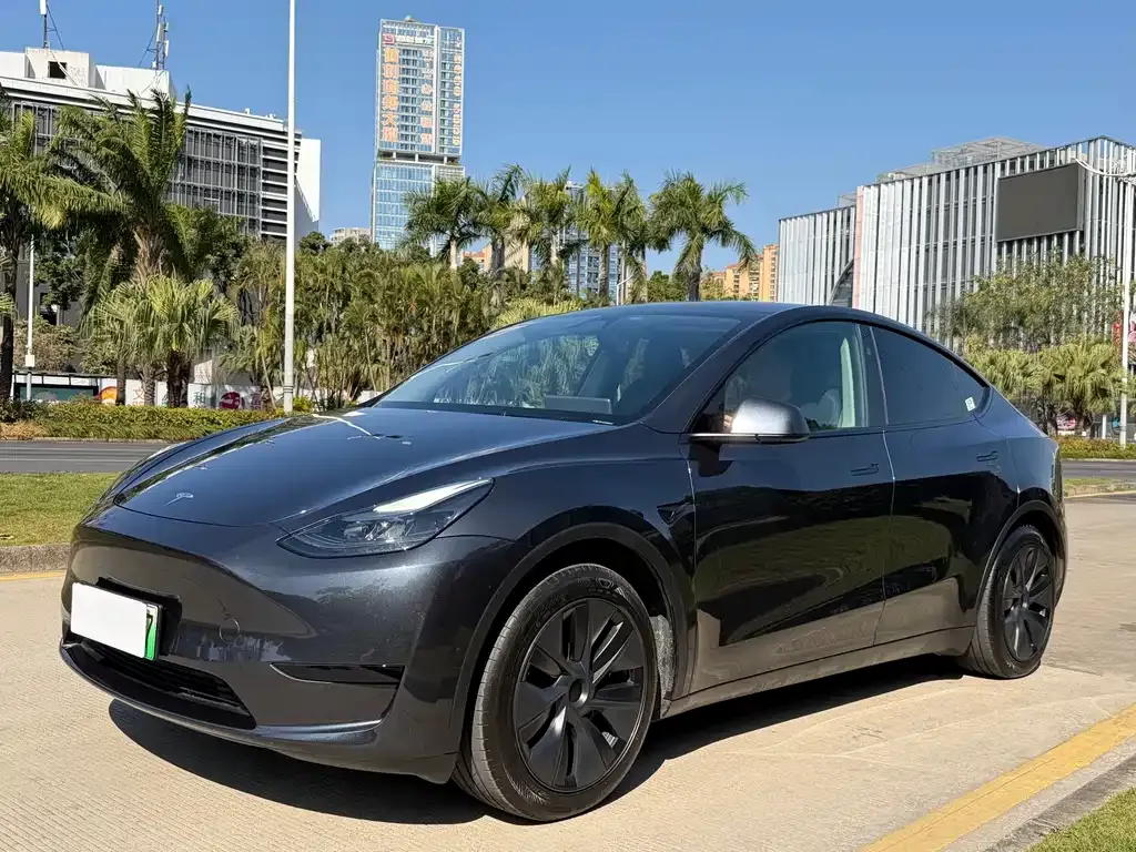 Tesla Model Y 2025 из CN, фото 1
