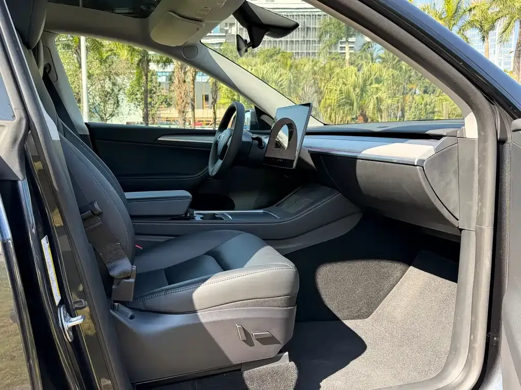 Tesla Model Y 2025 из CN, фото 10