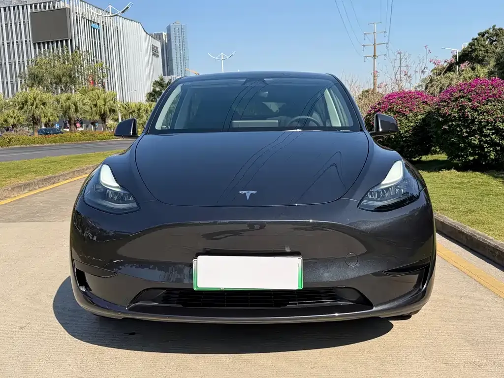 Tesla Model Y 2025 из CN, фото 9
